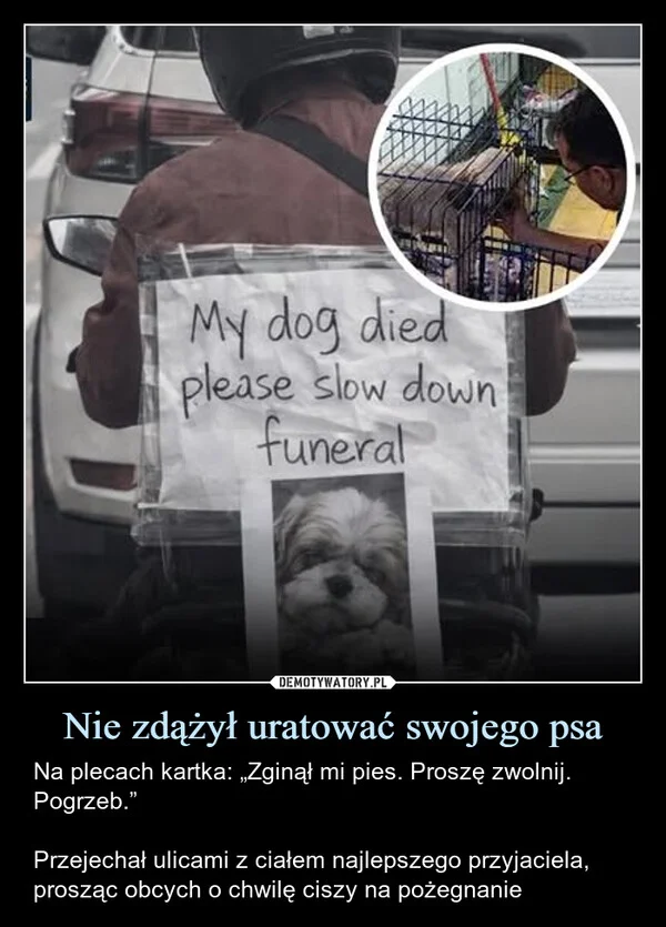 
    Nie zdążył uratować swojego psa