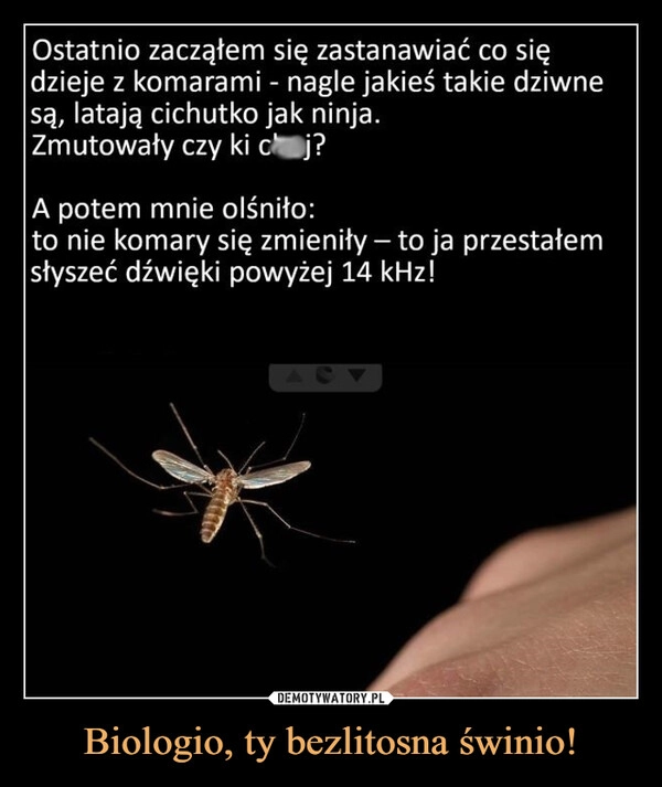 
    Biologio, ty bezlitosna świnio!