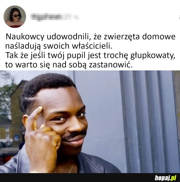 Warto się zastanowić
