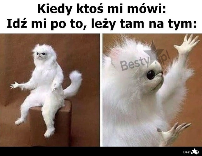 
    Nie ma to, jak konkretne wytyczne 