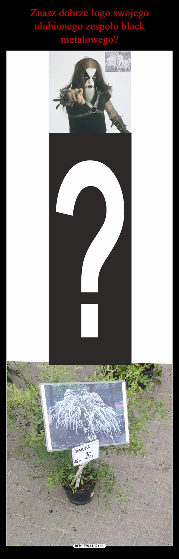 
    Znasz dobrze logo swojego ulubionego zespołu black metalowego?