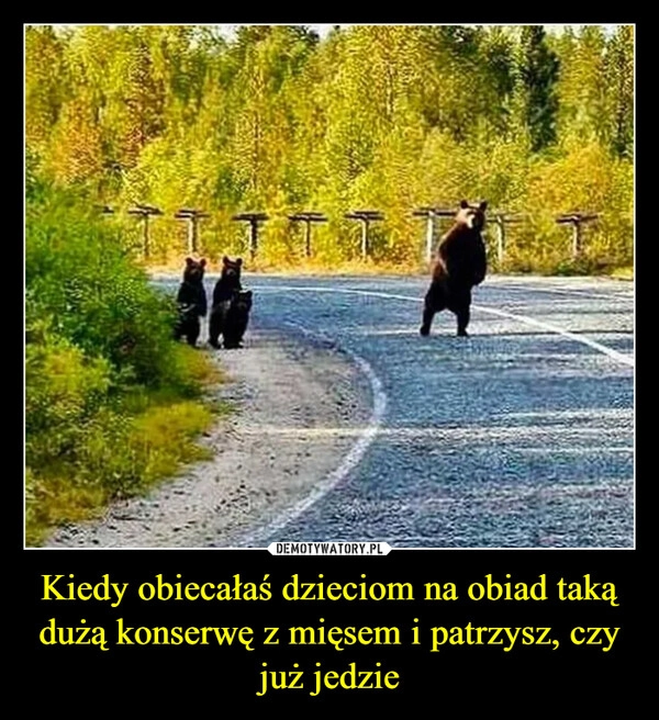 
    Kiedy obiecałaś dzieciom na obiad taką dużą konserwę z mięsem i patrzysz, czy już jedzie