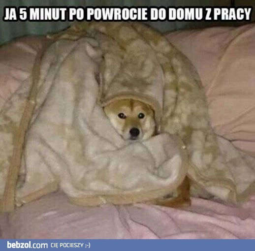 
    Po powrocie z pracy