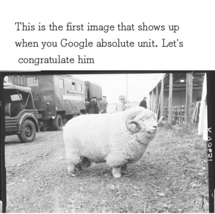 
    Absolute unit of a ram