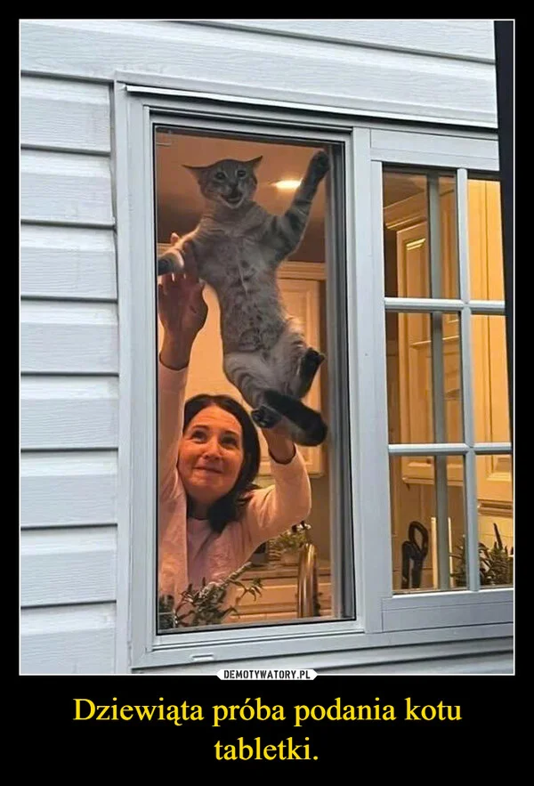 
    Dziewiąta próba podania kotu tabletki.
