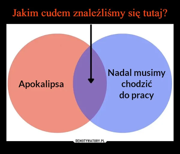 
    Jakim cudem znaleźliśmy się tutaj?