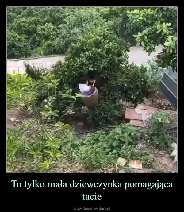 
    To tylko mała dziewczynka pomagająca tacie