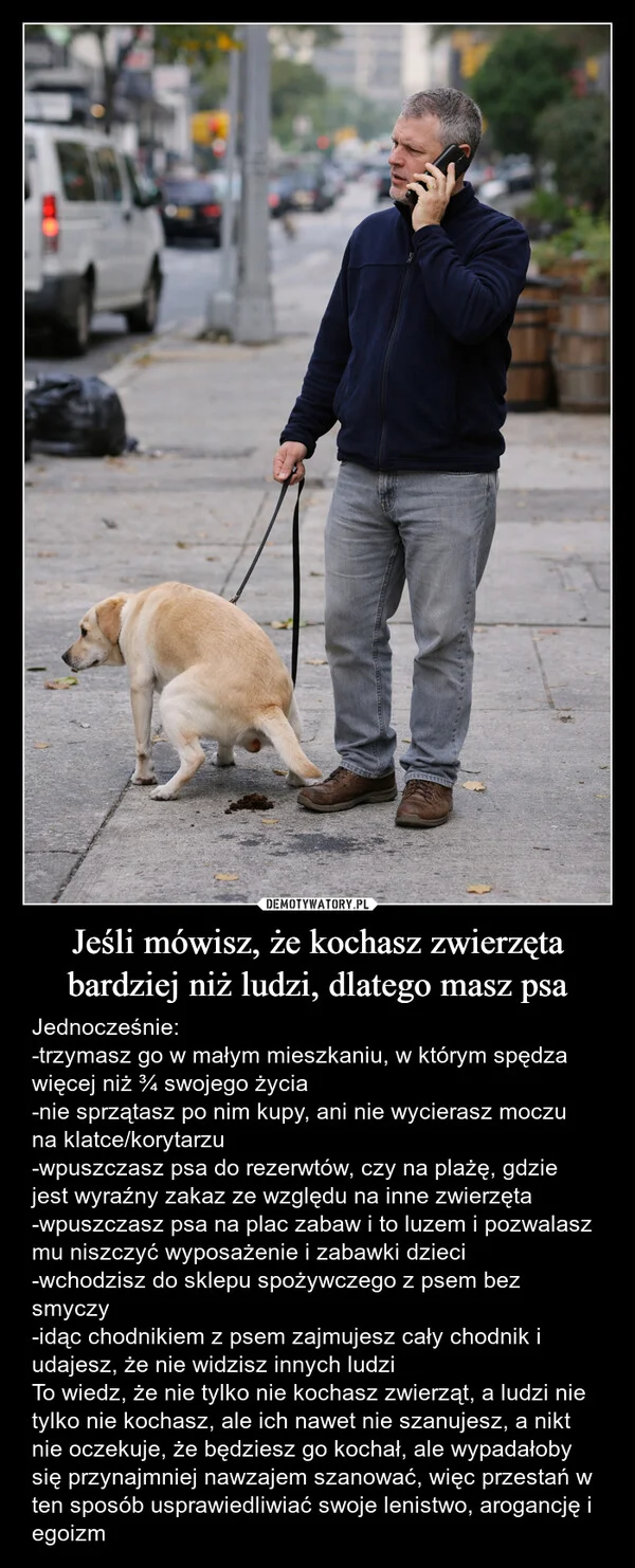 
    Jeśli mówisz, że kochasz zwierzęta bardziej niż ludzi, dlatego masz psa