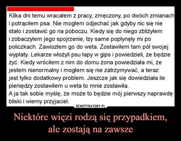 
    Niektóre więzi rodzą się przypadkiem, ale zostają na zawsze