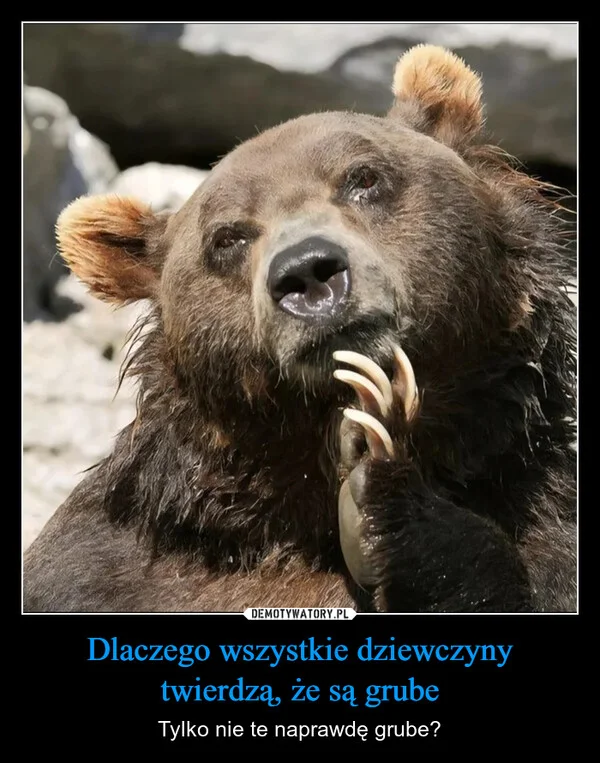 
    Dlaczego wszystkie dziewczyny twierdzą, że są grube