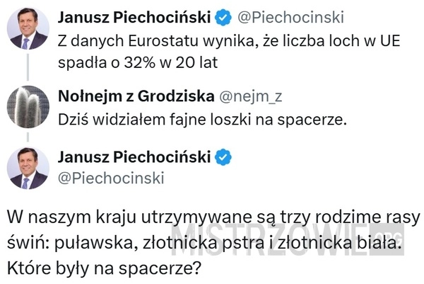 
    Lochy