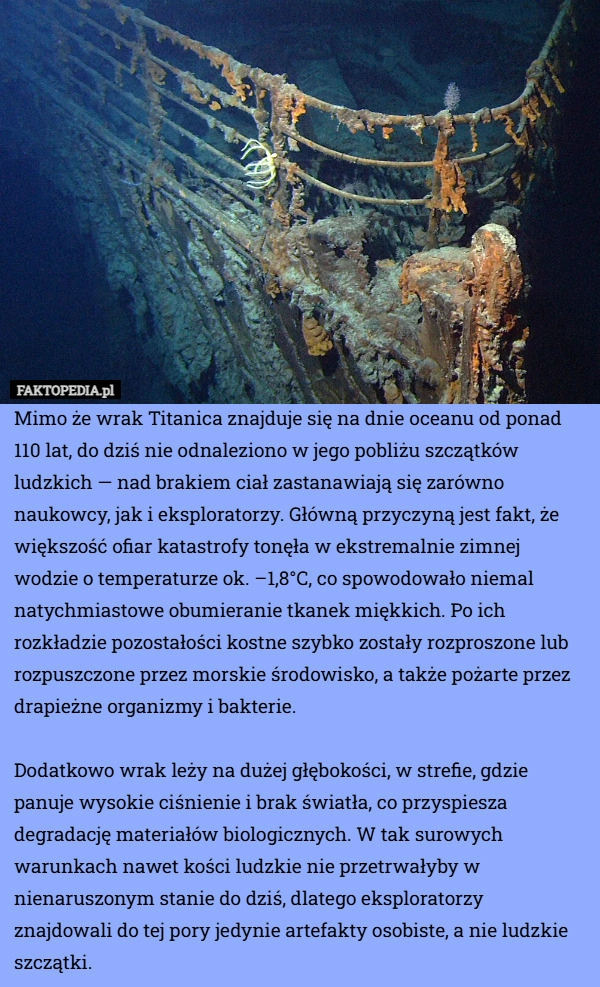 
    Mimo że wrak Titanica znajduje się na dnie oceanu od ponad 110 lat, do dziś