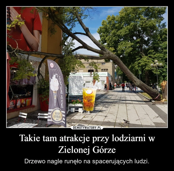 
    Takie tam atrakcje przy lodziarni w Zielonej Górze
