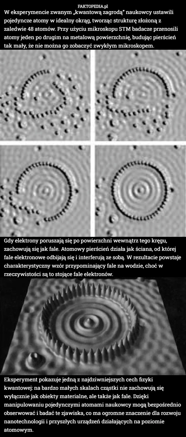 
    W eksperymencie zwanym „kwantową zagrodą” naukowcy ustawili pojedyncze atomy