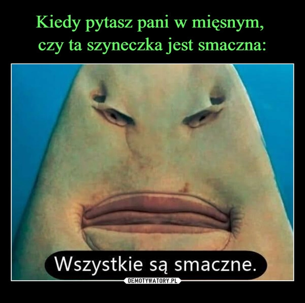 
    Kiedy pytasz pani w mięsnym, 
czy ta szyneczka jest smaczna: