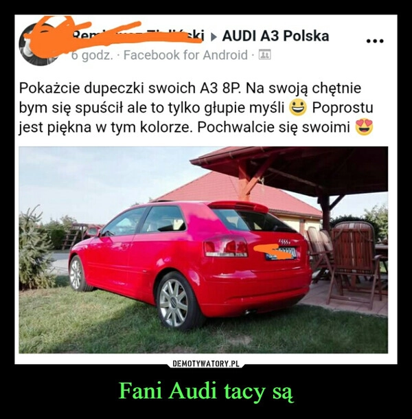 
    Fani Audi tacy są
