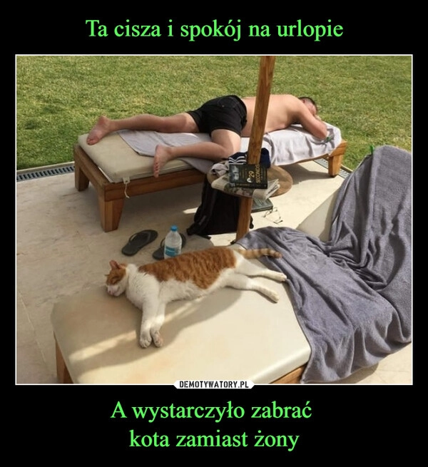 Ta cisza i spokój na urlopie A wystarczyło zabrać 
kota zamiast żony