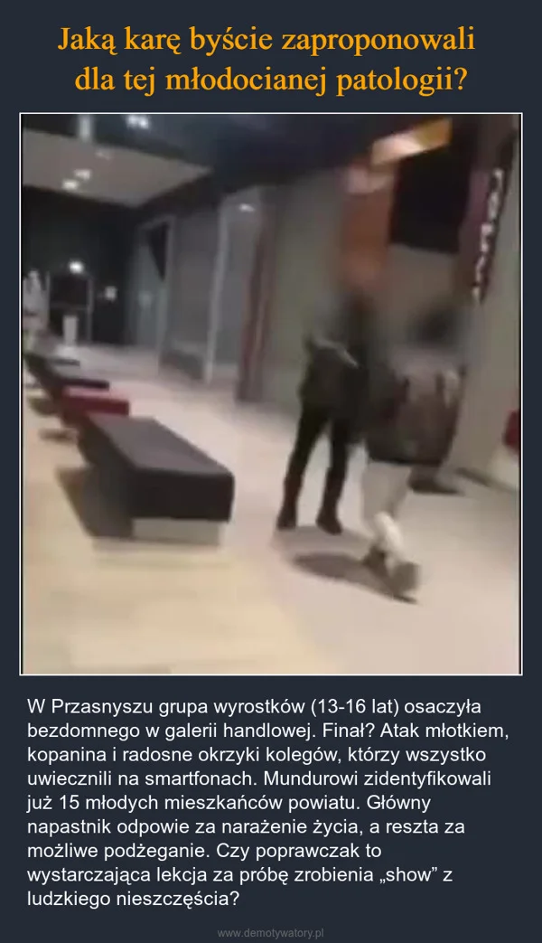 
    Jaką karę byście zaproponowali dla tej młodocianej patologii?