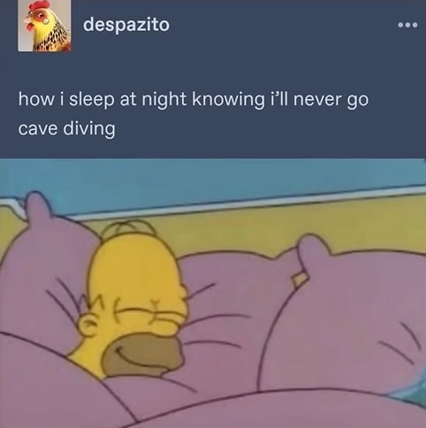 
    Why would I