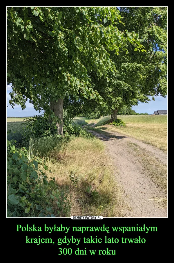 
    Polska byłaby naprawdę wspaniałym krajem, gdyby takie lato trwało 300 dni w roku