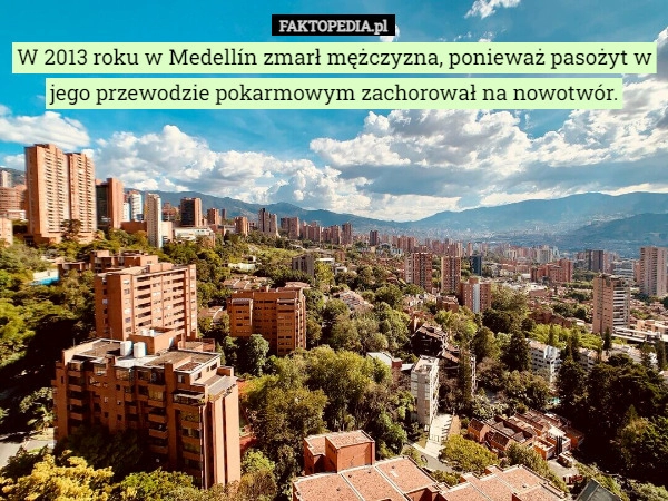 
    
			W 2013 roku w Medellín zmarł mężczyzna, ponieważ pasożyt w jego przewodzie					