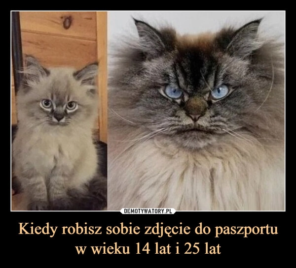 
    Kiedy robisz sobie zdjęcie do paszportu w wieku 14 lat i 25 lat