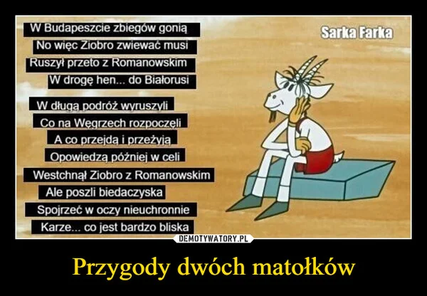 
    Przygody dwóch matołków