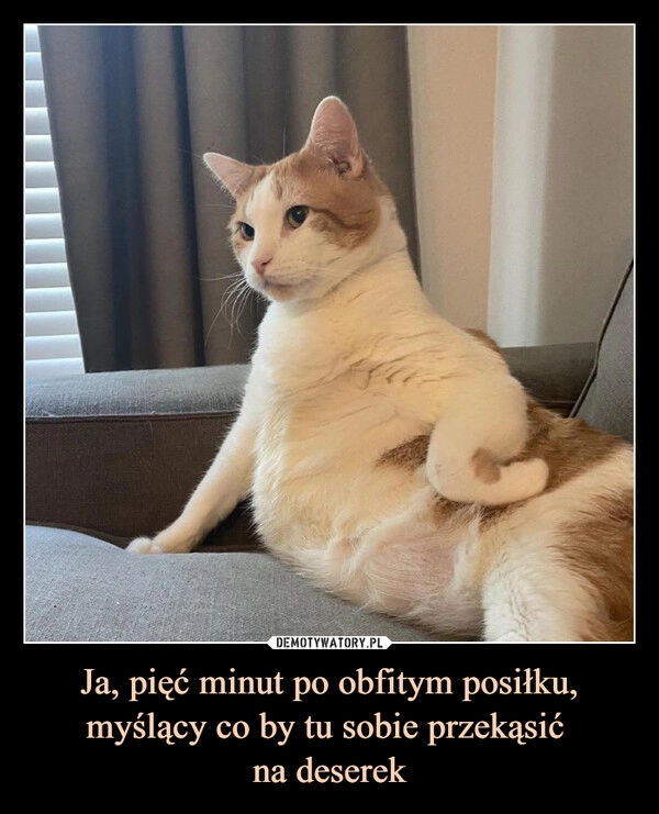 
    
Ja, pięć minut po obfitym posiłku, myślący co by tu sobie przekąsić
na deserek 