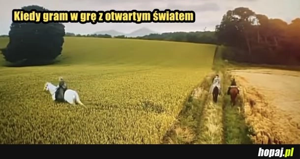 
    Typowy open world exp