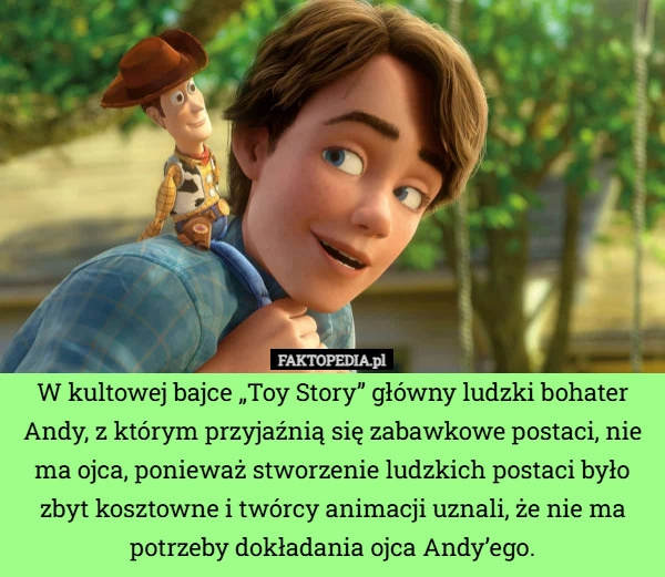 
    W kultowej bajce „Toy Story” główny ludzki bohater Andy, z którym przyjaźnią