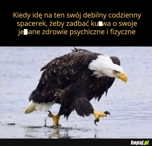 Tak dla odprężenia