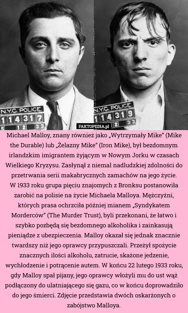 
    Michael Malloy, znany również jako „Wytrzymały Mike” (Mike the Durable)
