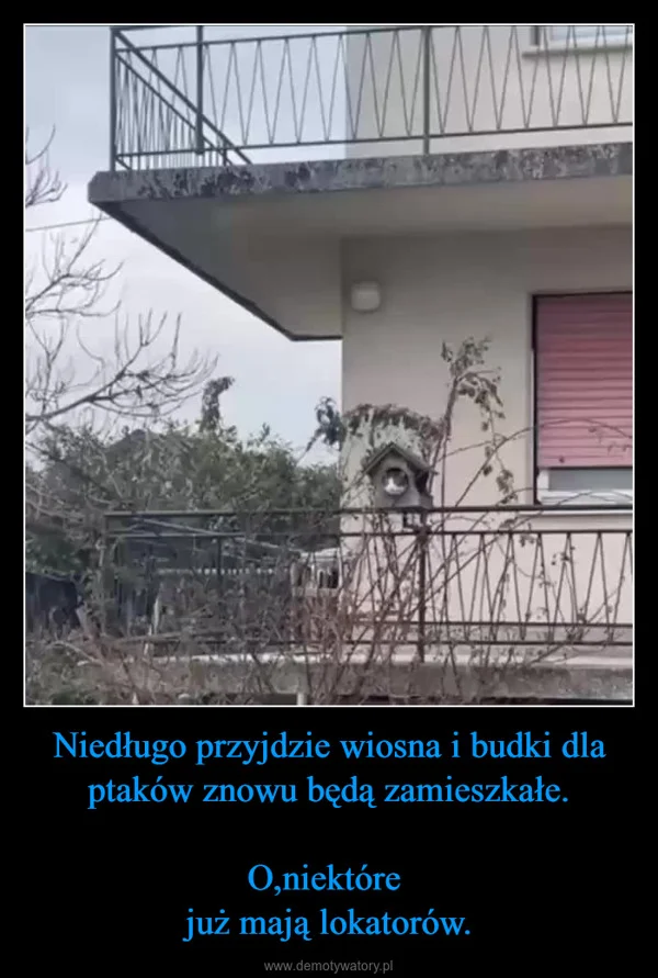 
    Niedługo przyjdzie wiosna i budki dla ptaków znowu będą zamieszkałe. O,niektóre już mają lokatorów.