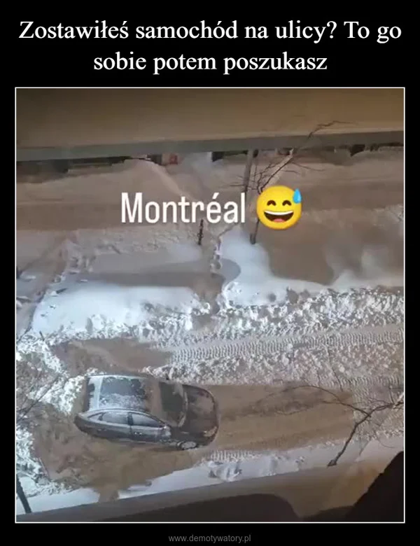 
    Zostawiłeś samochód na ulicy? To go sobie potem poszukasz