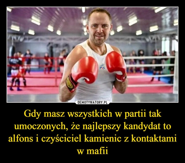 
    Gdy masz wszystkich w partii tak umoczonych, że najlepszy kandydat to alfons i czyściciel kamienic z kontaktami w mafii
