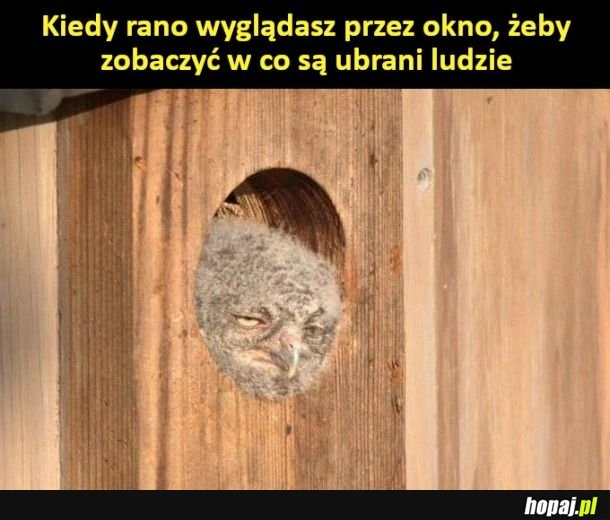 
    Ciężkie poranki