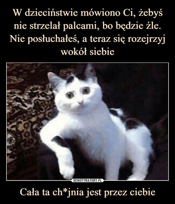 
    
W dzieciństwie mówiono Ci, żebyś nie strzelał palcami, bo będzie źle. Nie posłuchałeś, a teraz się rozejrzyj wokół siebie Cała ta ch*jnia jest przez ciebie 