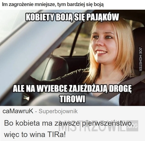 
    Im zagrożenie mniejsze, tym bardziej się boją
