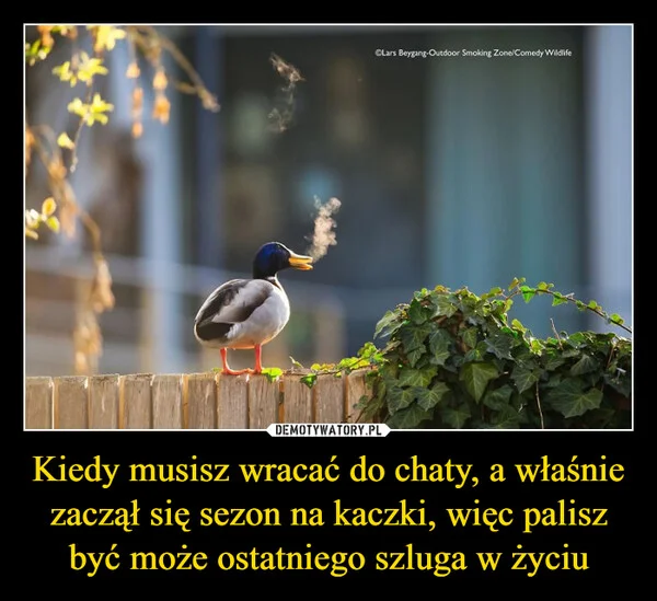 
    Kiedy musisz wracać do chaty, a właśnie zaczął się sezon na kaczki, więc palisz być może ostatniego szluga w życiu
