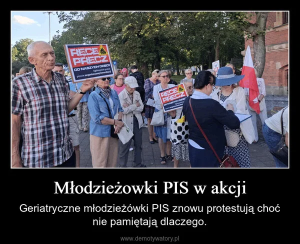 
    Młodzieżowki PIS w akcji