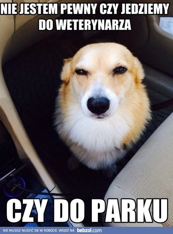 Czy ty mnie czasem nie oszukałeś?