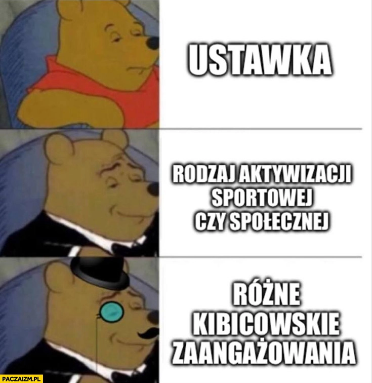 
    Ustawka, rodzaj aktywnosci sportowej czy społecznej, różne kibicowskie zaangażowania Kubuś Puchatek