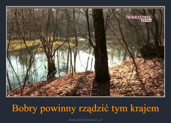 
    Bobry powinny rządzić tym krajem