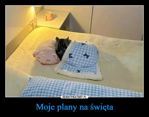Moje plany na święta