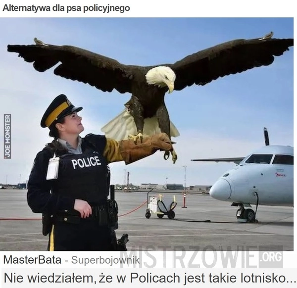 Alternatywa dla psa policyjnego