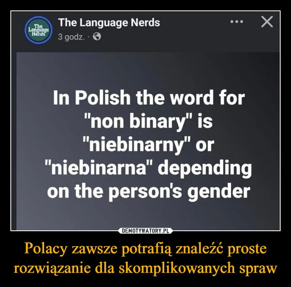 
    Polacy zawsze potrafią znaleźć proste rozwiązanie dla skomplikowanych spraw