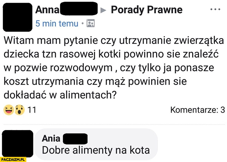 
    Czy tylko ja ponoszę koszt utrzymania kota po rozwodzie czy mąż powinien się dokładać w alimentach na kota? Pytanie na facebooku