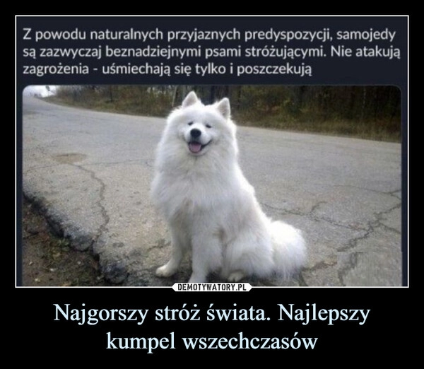 
    Najgorszy stróż świata. Najlepszy kumpel wszechczasów