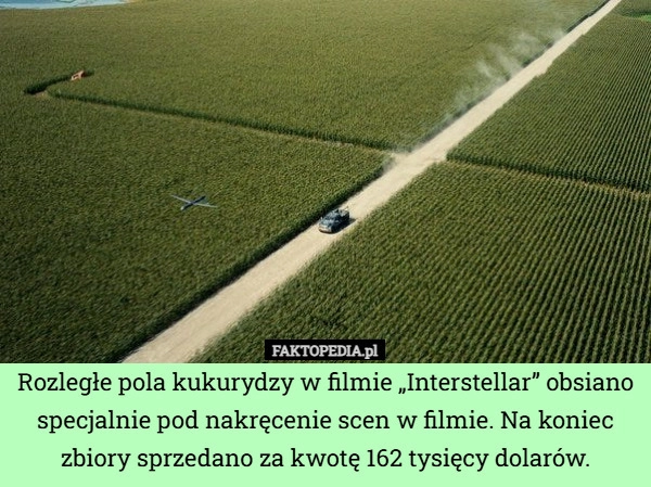 
    Rozległe pola kukurydzy w filmie „Interstellar” obsiano specjalnie pod nakręcenie