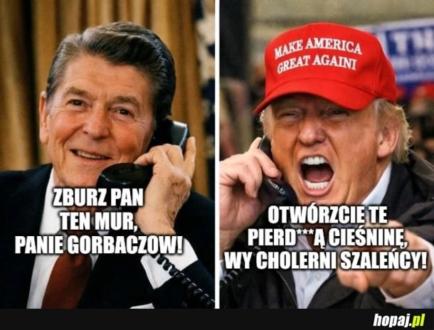 Mąż Stanu vs Trump